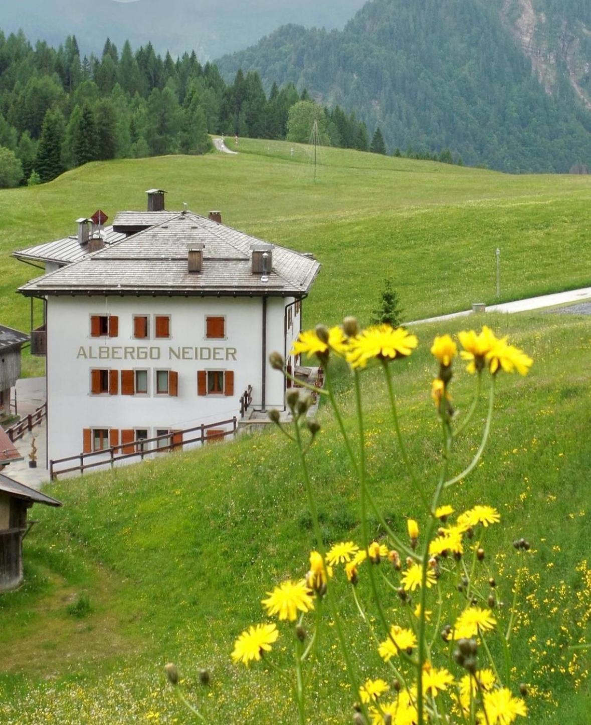 Neider Hotel - Alpine Retreat サウリス エクステリア 写真
