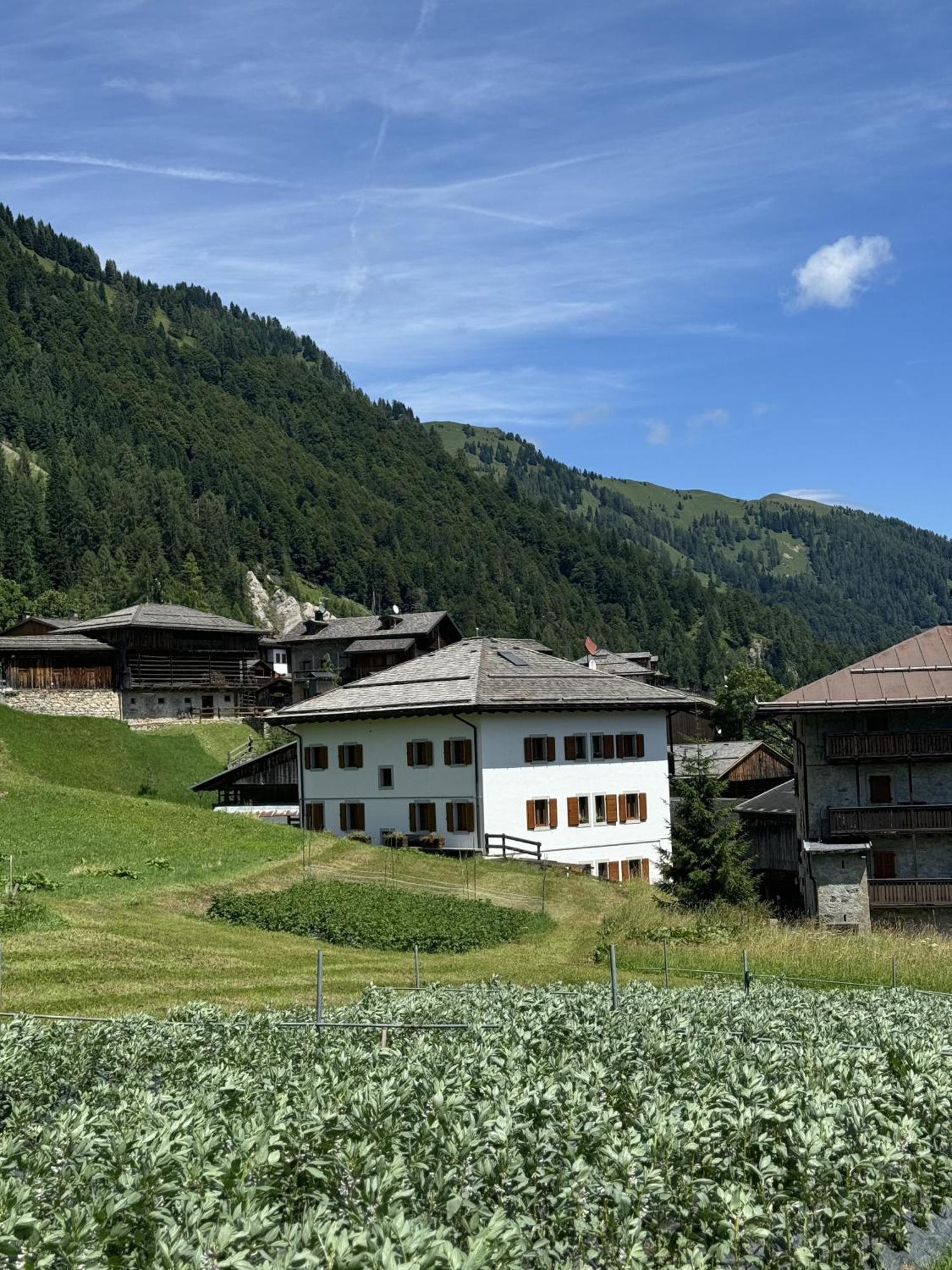 Neider Hotel - Alpine Retreat サウリス エクステリア 写真