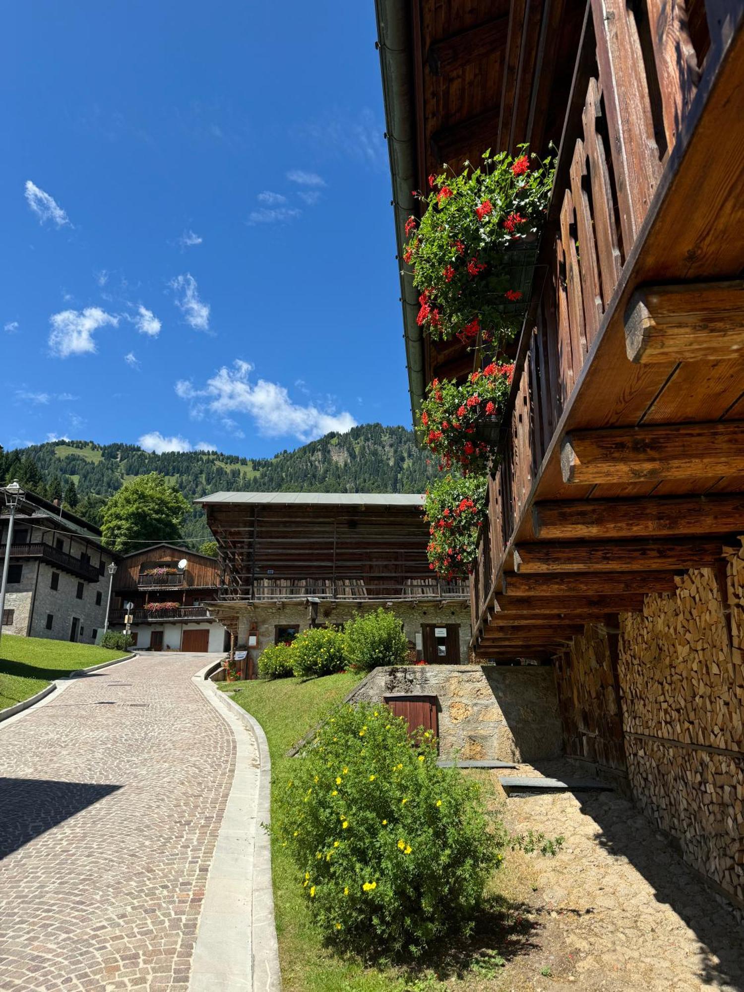 Neider Hotel - Alpine Retreat サウリス エクステリア 写真
